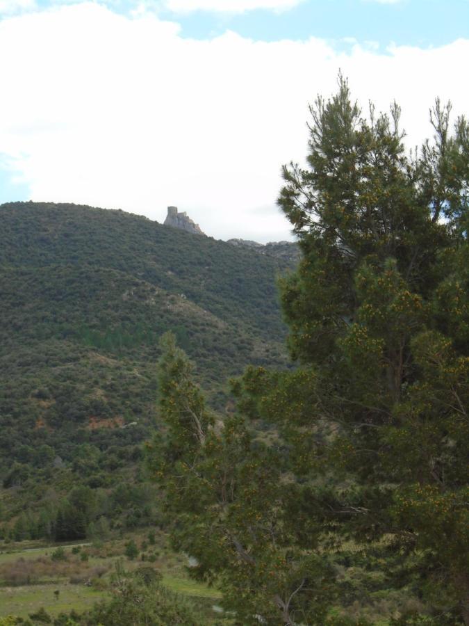 Gite La Tramontane Villa Cucugnan Kültér fotó